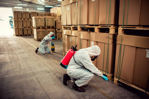 Best Bed Bug Extermination  in Las Lomas, TX