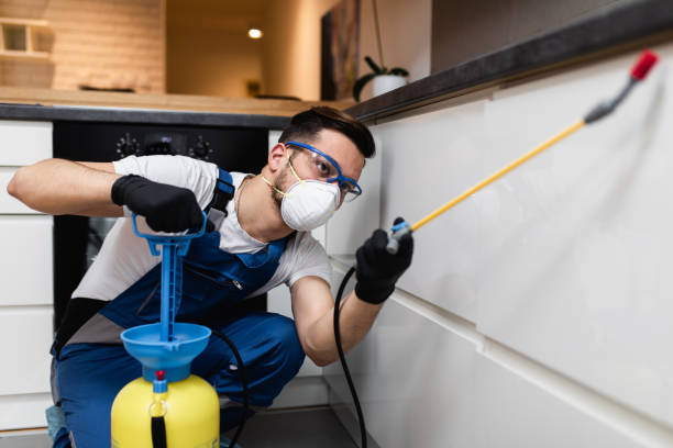 Best Mosquito Control Services  in Las Lomas, TX