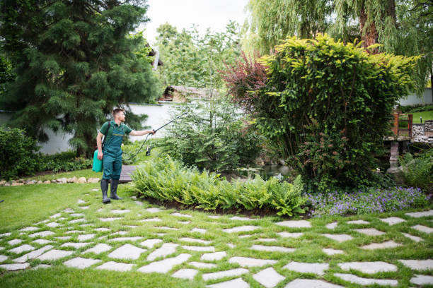 Best Residential Pest Control  in Las Lomas, TX