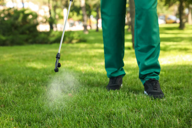 Best Ant Control Services  in Las Lomas, TX