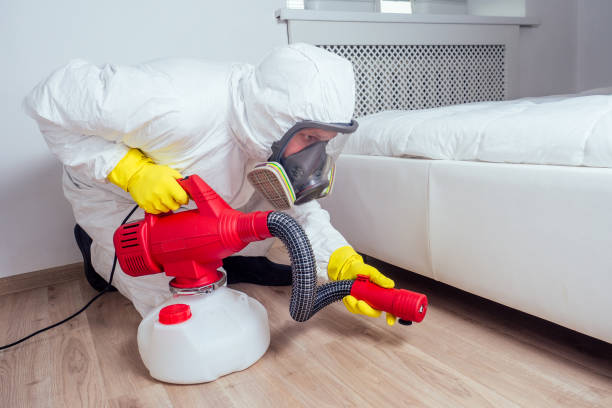 Flea Control Services in Las Lomas, TX