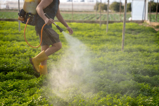  Las Lomas, TX Pest Control Pros