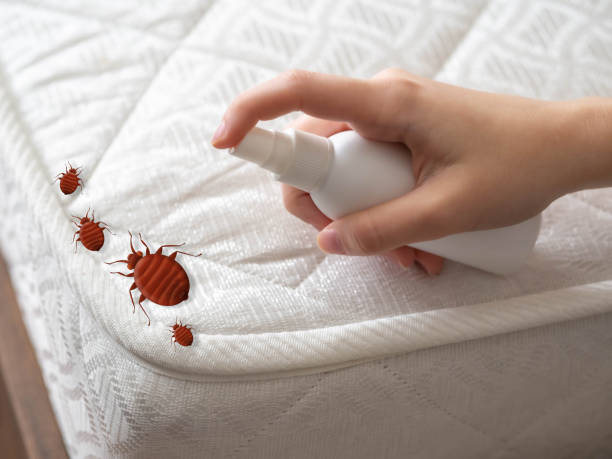 Best Pest Control Near Me  in Las Lomas, TX