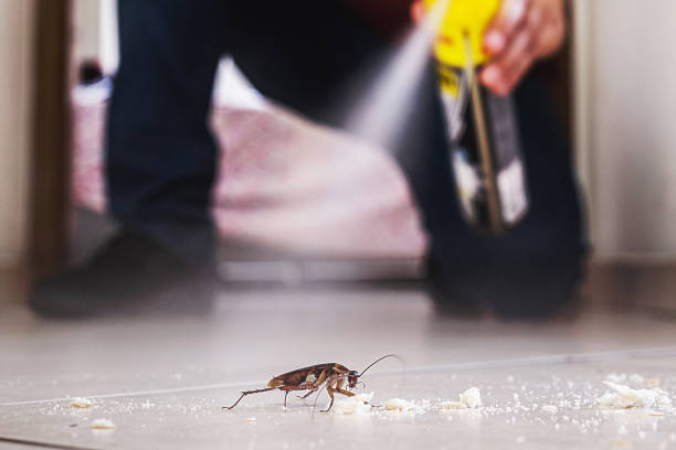 Las Lomas, TX Pest Control Company