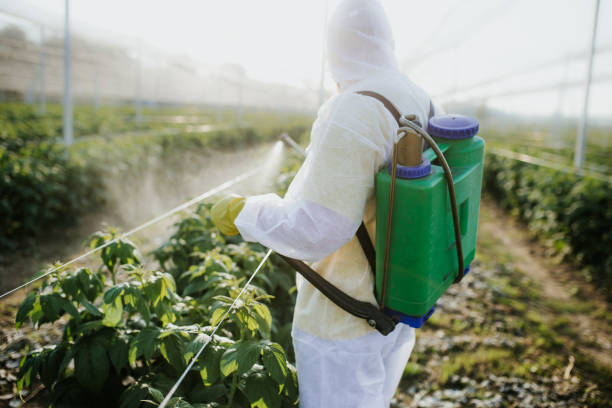 Best Pest Inspection Near Me  in Las Lomas, TX